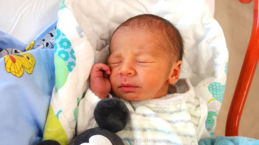 Mateo